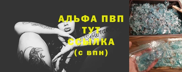 молекула духа Ельня