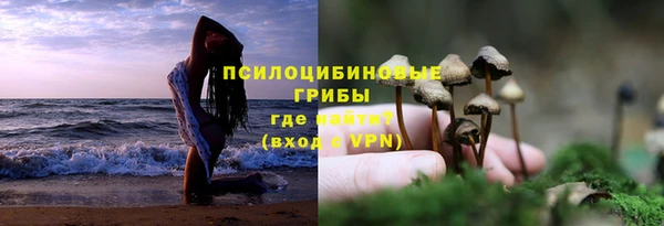 мдпв Нефтекумск