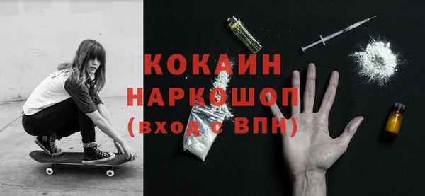 шишки Абаза