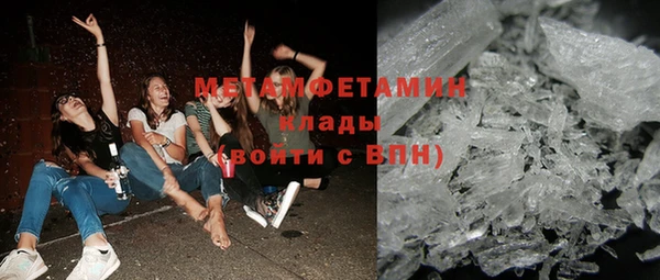 шишки Абаза